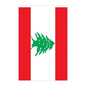 Outdoors Lebanon <b>Flags</b> Small Mini Pennant String Banner Festival Decorations 62.3 Feet 30 <b>Flags</b> Aluminum Flagpoles Polyester - Product Image 6