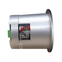 Système de son surround passif mini 8 ohms 2*20W, haut-parleur de plafond haute puissance, haut-parleur de plafond pour la musique d'ambiance à domicile, à l'hôtel