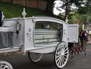 Cercueil mobile électrique, carrosse funéraire sans <span class=keywords><strong>chevaux</strong></span>, remorque funéraire à <span class=keywords><strong>4</strong></span> roues, carrosse funéraire à <span class=keywords><strong>chevaux</strong></span>, fourgon funéraire, cercueil mobile à <span class=keywords><strong>vendre</strong></span> - Product Image 5