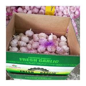 Ora caj de 10 kg aglio bianco normale fresco scatola da 10 kg scatola aglio bianco cinese all'ingrosso di alta qualità - Product Image 5