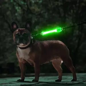 Lampu LED kerah anjing bercahaya keselamatan garis lampu LED untuk anjing kucing keselamatan cerah untuk malam hari