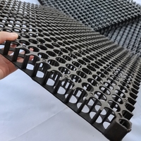 30mm HDPE feuille de plastique fossette plaque de vidange sous-sol pavage panneau de cellules pour toit jardin Geo Sythetics terrassement meilleur prix