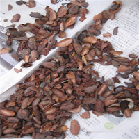 Ligne de production de poudre de fèves de cacao à haute efficacité, prix de la machine, usine de transformation du beurre de cacao