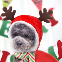 Pull à capuche en flanelle pour chien, motif renne, pour l'hiver et Noël, pour chiens de petite et moyenne taille