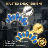 Labrets et Piercings de Cartilage d'Oreille en Titane Poli Miroir, Zircon et Plaqué Or 24K, Hypoallergéniques, Cadeau de Mariage, Bijoux Corporels