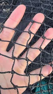 Filet PE Longxing, filet d'ombrage, filet agricole blanc, filet de capture pour oiseaux et chauves-<span class=keywords><strong>souris</strong></span> - Product Image 3