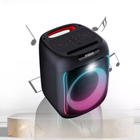 Enceinte portable Z 6,5 pouces, OEM d'usine, pour karaoké extérieur, enceinte de fête portable sur chariot