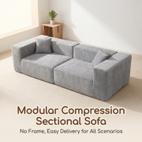 Canapé modulaire extensible sans cadre en velours compressé à rangée droite, style fixe, pour salon moderne