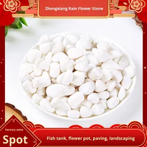 Confezione da 20kg di ciottoli di pietra naturale bianca <span class=keywords><strong>per</strong></span> vasi succulenti cortile abbellimento decorazione acquario pioggia bianca fiore pietre - Product Image 5