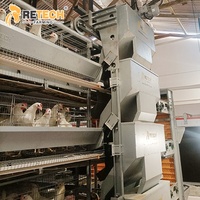 Cage à poulets de type H galvanisée à 50000 couches pour la collecte des œufs et l'abreuvement, conception d'équipement avicole automatique en batterie pour le Nigéria