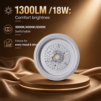 Ventilateur de plafond DC de 62 pouces avec lumière, télécommande, 3 pales en ABS, moteur en cuivre, économie d'énergie, silencieux, design moderne