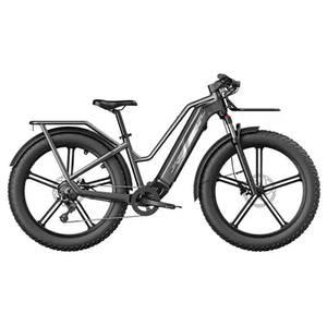 F i i d o s Titans Bicicletta Elettrica da Montagna - Product Image 5