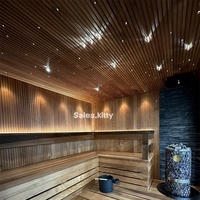 Kit d'éclairage LED RVBW scintillant pour plafond de sauna, avec câble à fibres optiques PMMA à émission latérale BlackJacket