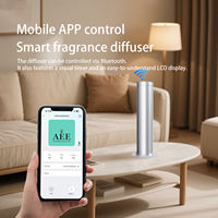 Diffuseur d'arômes intelligent Aromacare Professional Luxury Electric Lobby Hotel Portable 100 ml en aluminium