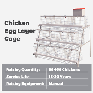 Trứng Gà Coop Động Vật Đặt Dây Lưới Gà Lồng Gà Gà Lớp 3/4 Tầng Chất Lượng Cao D Loại Pin Lồng Gia Cầm Trang Trại Thiết Kế - Product Image 3