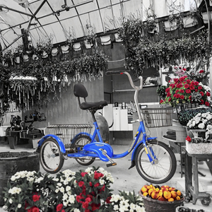 Triciclo per Adulti Monovelocità, Bici a Tre Ruote <span class=keywords><strong>Mini</strong></span> Cargo con Cerchi in Alluminio, Capacità di Carico 200kg, Veicolo per Anziani - Product Image 4