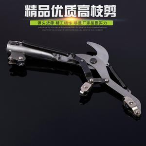 Tijeras de Podar de Rama Alta Gisen, 75 mm, Acero Inoxidable, Estructura de Mariposa, Diámetro de Corte de 30-50 mm, Herramienta de Jardín - Product Image 1