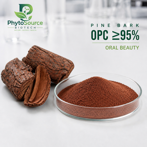 Extrait de Corteil de Pin de Qualité Alimentaire en Vrac - Type Standardisé OPC 95% Ingrédient de Complément Herbal en Bouteille - Product Image 1