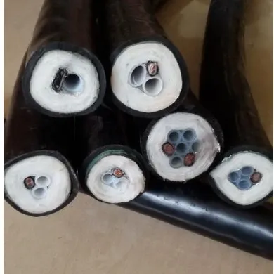 Dankai tubo in PTFE CEMS tubo per campioni di tracciamento di fumi compositi tubo speciale per campionamento ad alta temperatura