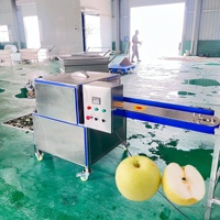 Machine industrielle de découpe en deux des fruits et légumes (pommes, tomates, poivrons, oignons, choux) 220V/380V
