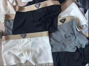 Bóxers Deportivos de Moda para Hombre Nuevo Nailon Seda de Hielo Genuina Ropa Interior Logo Delgado Transpirable para Verano Cintura Tejido de Punto - Product Image 6