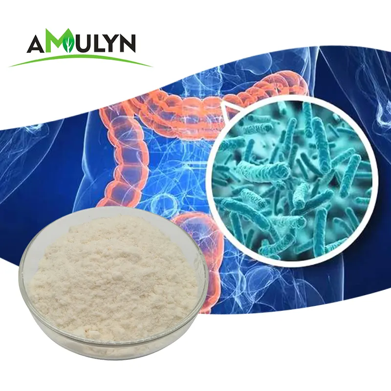 AMULYN Top Quality Supports Immune Lactobacillus Casei Probiotic Powder