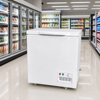 Congélateur coffre commercial à porte simple de haute qualité en acier inoxydable avec serrure pour restaurant, épicerie et supermarché