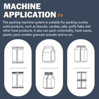 Machine d'emballage verticale automatique multi-têtes pour le remplissage de sachets, de pochettes, de papier, de friandises pour animaux, de nourriture pour chiens, de litière pour chats
