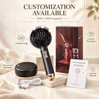 Peigne Masseur Capillaire Professionnel à Lumière Rouge, Brosse de Soin pour la Croissance des Cheveux, Appareil de Massage Capillaire Électrique Rechargeable, OEM Marque Privée