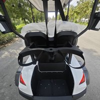 Voiturette de golf électrique 2 places, alimentée par batterie lithium, scooter de golf électrique, voiturettes électriques pour adultes