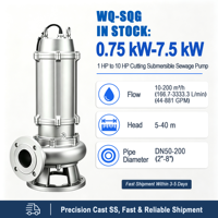 Bomba Sumergible para Aguas Residuales de Acero Inoxidable WQ (D)-SQG 304/316, Producción Directa de Fábrica, Motor con Bobinado de Cobre IP68