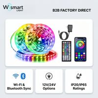 Tira de Luces LED Inteligentes RGB 5050 de 12V/24V con Wi-Fi e IP20, Cambio de Color, Decoración Interior Colorida