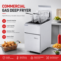 Friteuse à gaz professionnelle 25L en acier inoxydable, 1 cuve 2 paniers, sans huile, double friteuse profonde, au propane