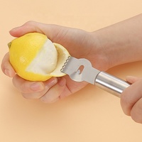 Nouvelles idées de produits 2026, accessoires et outils pour la maison et la cuisine, éplucheur de noix de coco coloré, râpe à citron en acier inoxydable