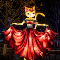 Lumières colorées sur le thème des chats et lanternes de festival pour Thanksgiving, décoration LED extérieure étanche pour parcs et installations artistiques