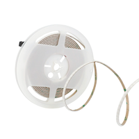 Bande LED à pixels RGBIC 5050 adressables WS2812, PCB étroit de 5 mm, 160 LED/mètre, alimentation USB 12 V CC, IP20, cuivre, pour décoration intérieure