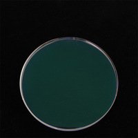 Lentille optique bifocale Pioneer en résine HC HMC plate transparente avec revêtement EMI et UC