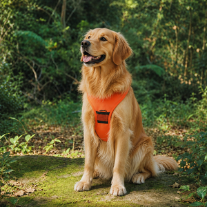 Harnais et laisse rétractables 2 en 1 pour chien, anti-traction, gilet de poitrine pour animaux de compagnie, laisse automatique pour grands chiens, promenade en extérieur - Product Image 6