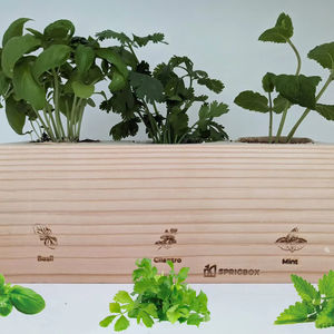 Kit de plantes de démarrage de jardin d'herbes classiques uniques pour enfants Pots de bricolage comprenant de la <span class=keywords><strong>terre</strong></span> pour la coriandre de <span class=keywords><strong>basilic</strong></span> pour la cuisine à domicile et le bureau - Product Image 1