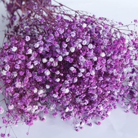 Buket bunga asli berkualitas tinggi Model E-GF merek FLEUR Gypsophila yang diawetkan napas bayi indah warna-warni pernikahan berkualitas A