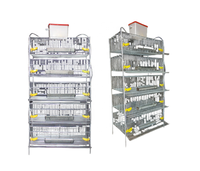 Équipement d'élevage commercial pour cailles, poulets et volailles, type H à 5 niveaux, pour poules pondeuses, pièces de machines agricoles, 40 kg, 1 an