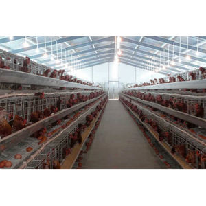 Estructura prefabricada Casa de pollo granja avícola prefabricada Motor de acero nuevo producto <span class=keywords><strong>2020</strong></span> proporcionado gallinero móvil automático - Product Image 1