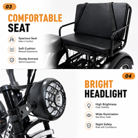 Tricycle électrique à gros pneus pour la neige, siège large, norme américaine, 750W, tricycle passagers et marchandises avec batterie au lithium pour le transport des adultes