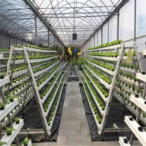 Sainpoly nft hydroponic growing systems greenhouse complete hydroponic system nft for lettuce indoor growing system