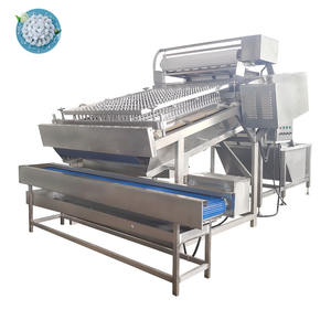 Separador de carne de cáscara de Camarón, pelador de camarones de acero inoxidable, pelador de langosta, máquina de clasificación a buen <span class=keywords><strong>precio</strong></span> - Product Image 6