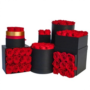 EW-alentine's ay IFT UG ucket reserved más bajo Ox OUND <span class=keywords><strong>y</strong></span> cuadrado hnom enenh mmortal lower más bajo ternal - Product Image 1