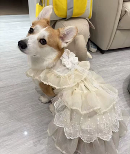 Original Gradient Green Pet Princess Dress Stylish Wearable Outfit with Leash <b>Ring</b> for <b>Cats</b> & Dogs Pet Accessories - Product Image 2