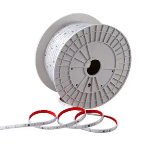 โรงงานที่กําหนดเองอบอุ่นเย็นบูชไฟ LED Strip 10 มม.Ip67 Ac110V 220V