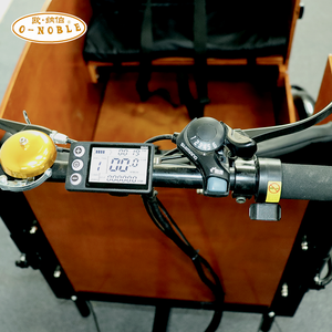 Vélo <span class=keywords><strong>Cargo</strong></span> Électrique à 3 Roues, Meilleure Vente - Product Image 4