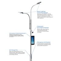 Poste de Luz Inteligente de Doble Brazo de Alta Luminosidad para Carreteras Arteriales Principales en Ciudades Inteligentes, para Redes Viales Urbanas de Alta Demanda